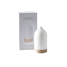 Electronic rechargeable diffuser