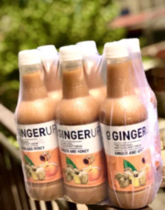 Ginger Up (Pack of 6)