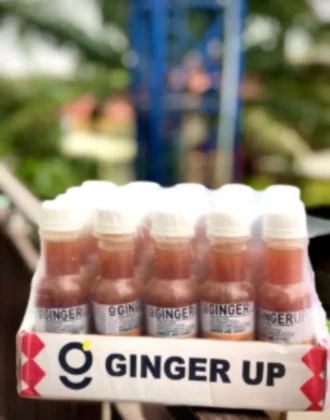 Ginger Up (Pack of 20)